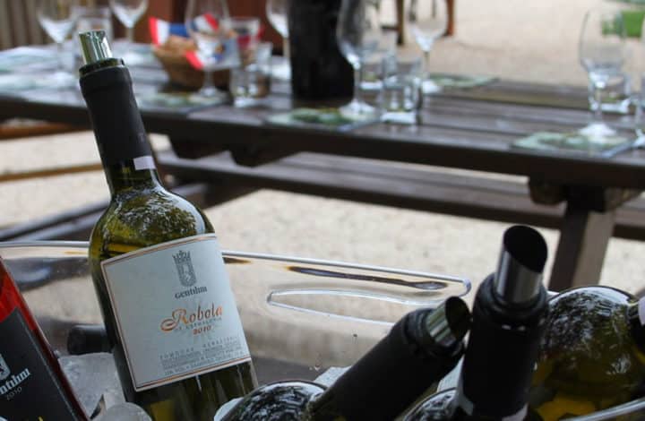 Gentilini Winery & Vineyards
